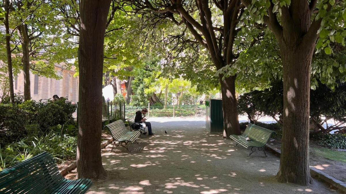 Notre Dame In Full Colors *